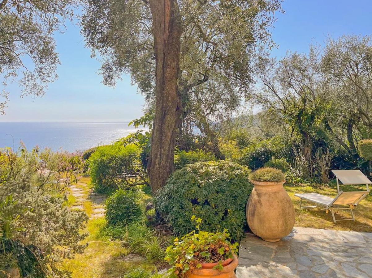 L'Uliveto Di Santa Con Piscina Villa Santa Margherita Ligure Kültér fotó